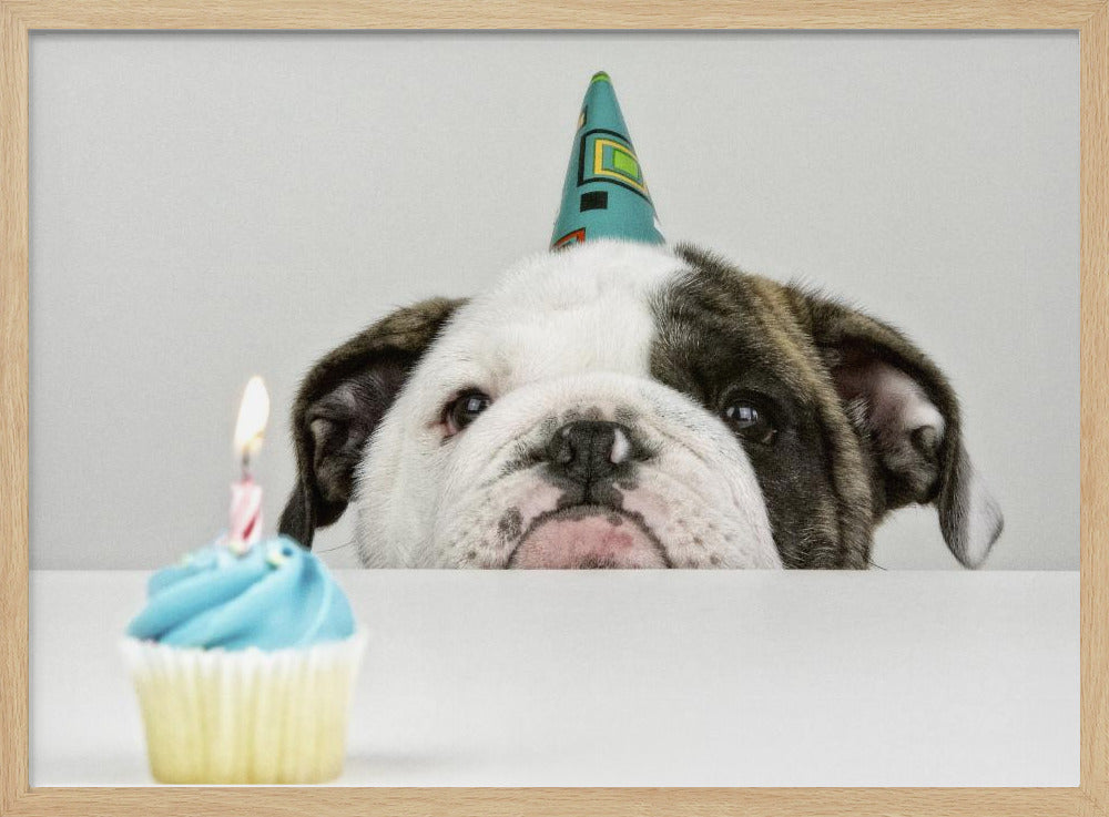 A Little Birthday - Stretched Canvas, Poster or Fine Art Print I Heart Wall Art