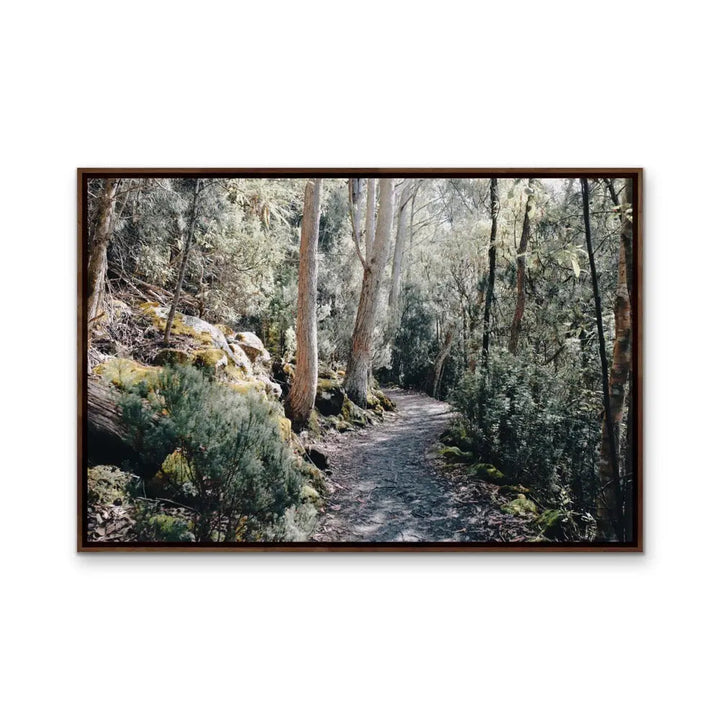 A Path On Kunanyi - Photographic Print of Mount Wellington Tasmania I Heart Wall Art Australia