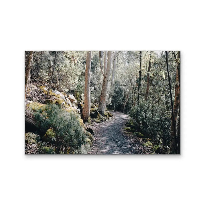 A Path On Kunanyi - Photographic Print of Mount Wellington Tasmania I Heart Wall Art Australia