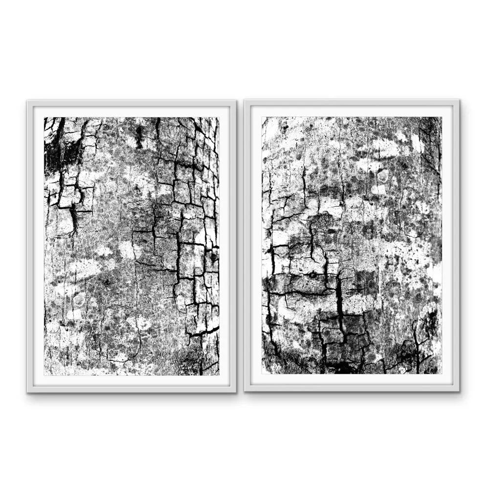 Two framed black and white abstract prints of textured cracked bark in a minimalist style fine art print