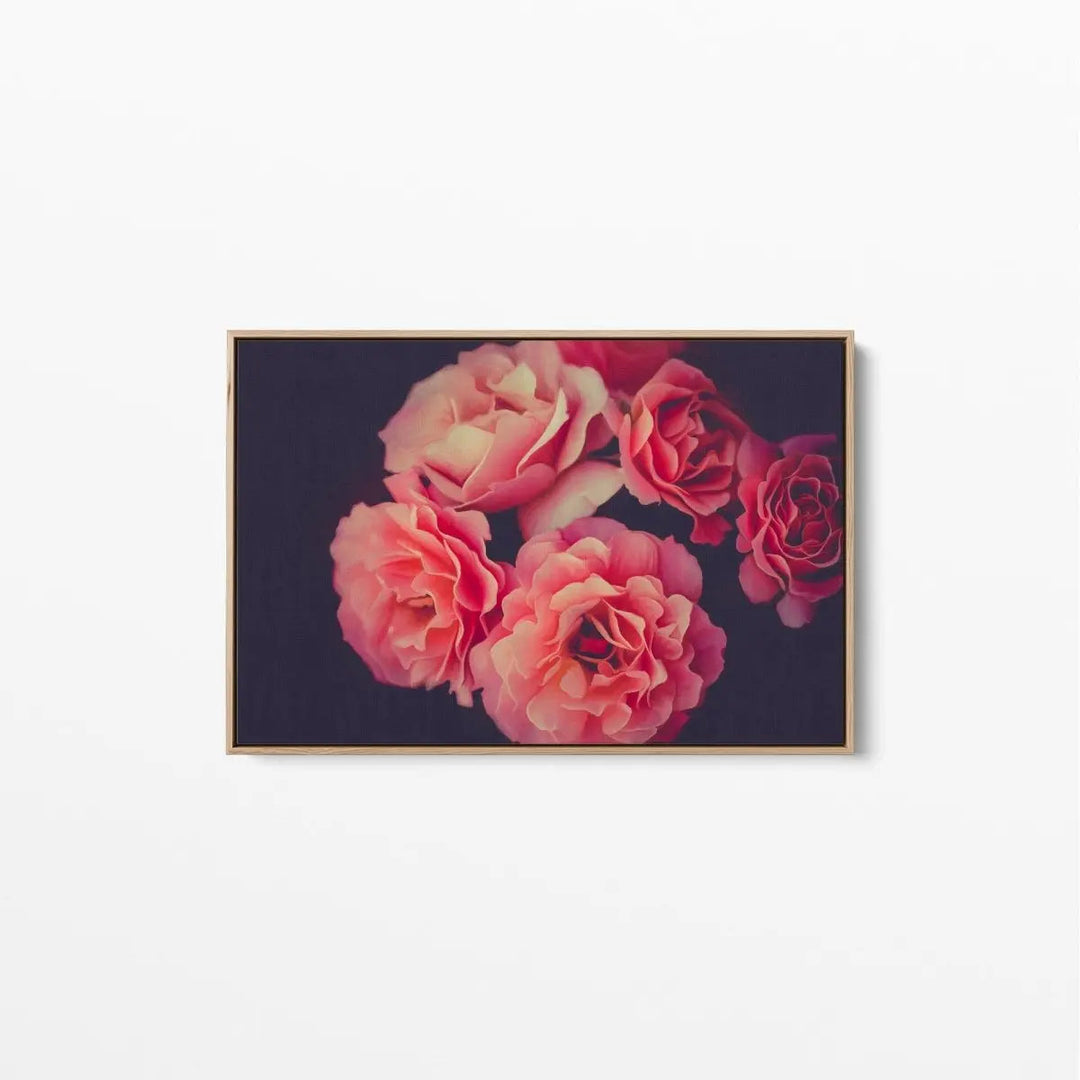 A Twist Of Fate - Navy and Pink Rose Artwork Stretched Canvas Wall Art - I Heart Wall Art - Poster Print, Canvas Print or Framed Art Print