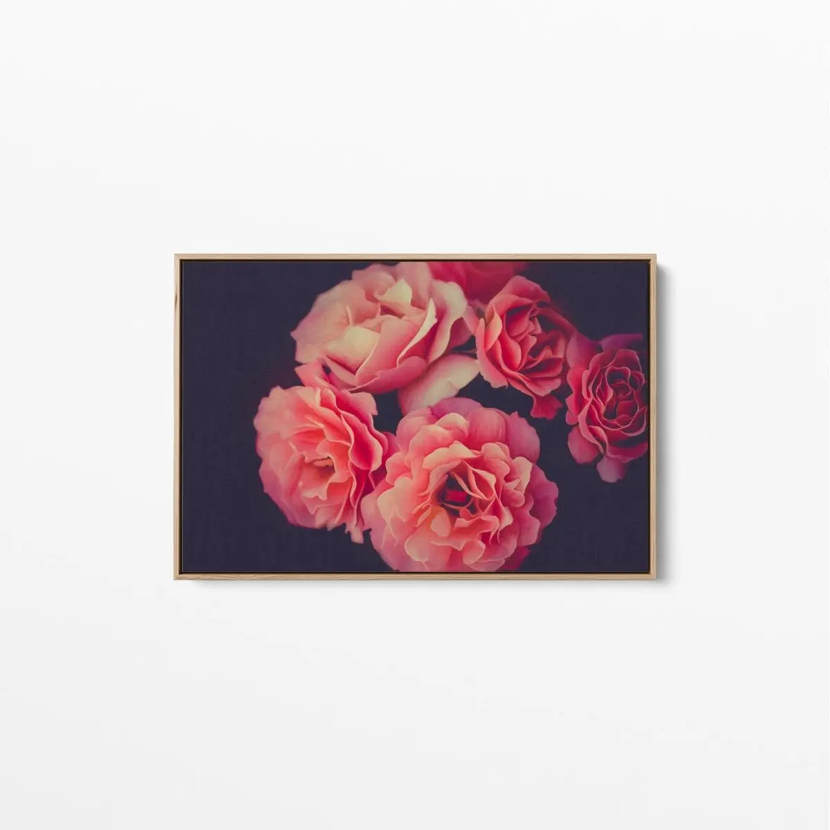 A Twist Of Fate - Navy and Pink Rose Artwork Stretched Canvas Wall Art - I Heart Wall Art - Poster Print, Canvas Print or Framed Art Print