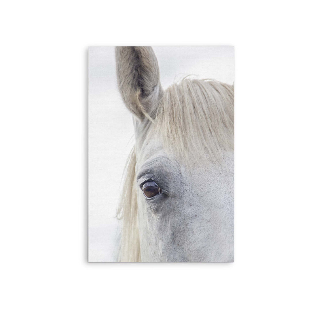 A White Horse&