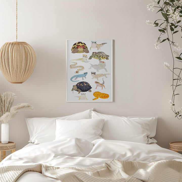 A1 Reptiles In Glasses - Stretched Canvas, Poster or Fine Art Print I Heart Wall Art