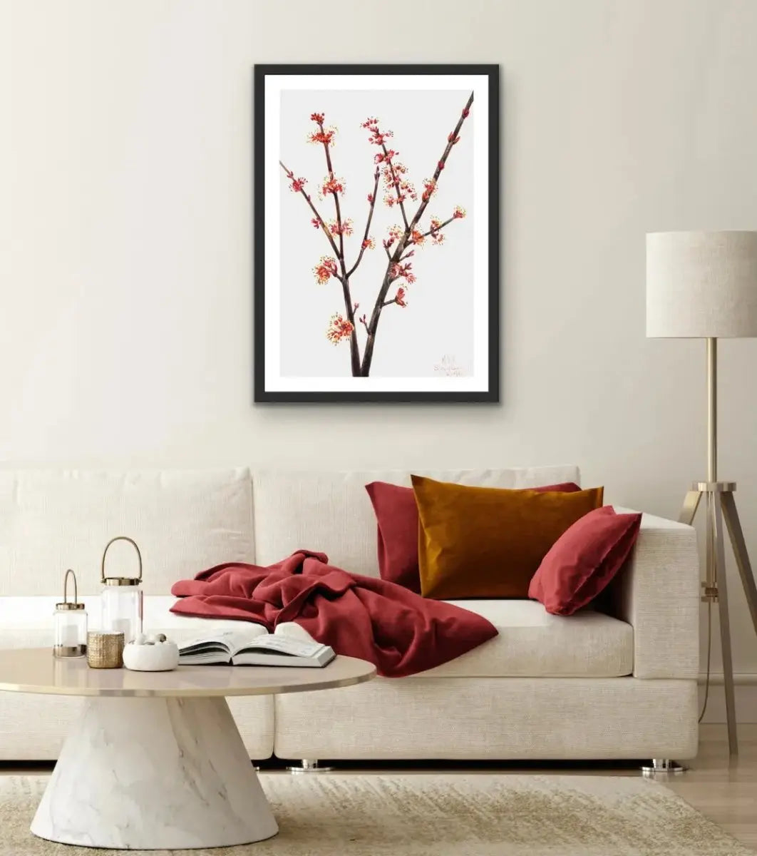 Acer Rubrum (1920) by Mary Vaux Walcott - I Heart Wall Art - Poster Print, Canvas Print or Framed Art Print