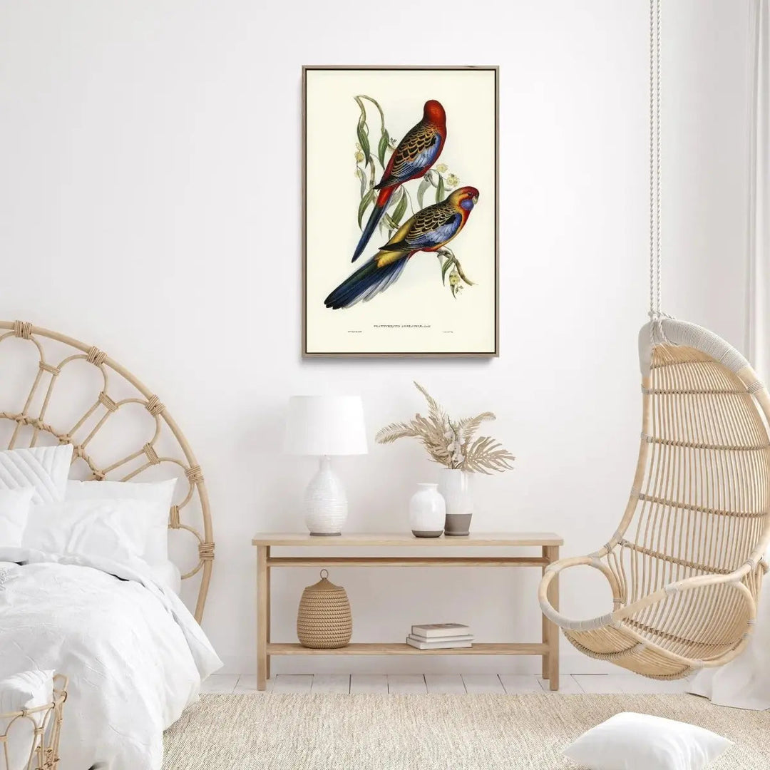 Adelaide Parakeet (Platycercus Adelaidiae) illustrated by Elizabeth Gould (18041841) - Stretched Canvas Print or Framed Fine Art Print - Artwork - I Heart Wall Art - Poster Print, Canvas Print or Framed Art Print