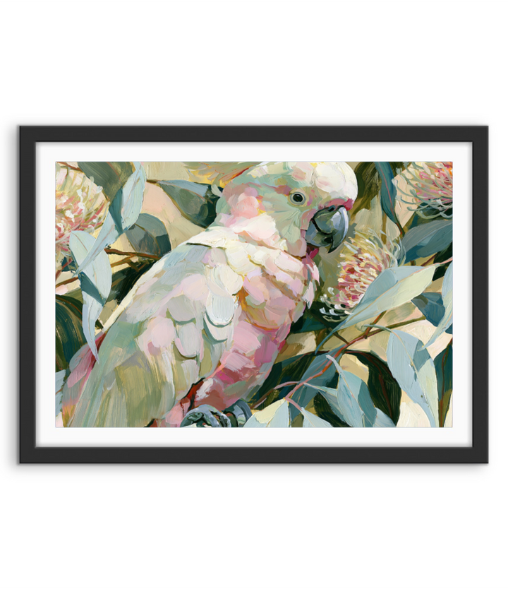 Afternoon Shadows by IHeartStudio - Australiana White Cockatoo Canvas And Art Print