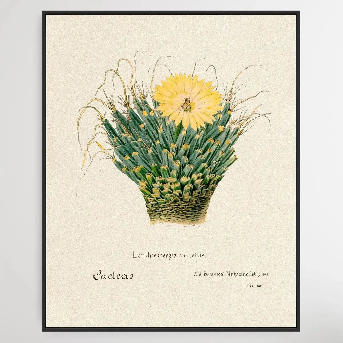 Agave cactus - I Heart Wall Art - Poster Print, Canvas Print or Framed Art Print