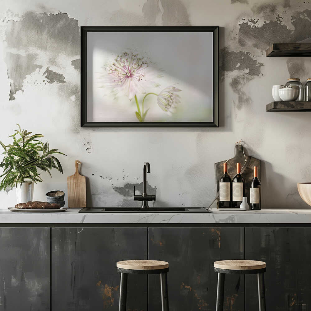 Airy Pink Bloom - Floral Photographic Stretched Canvas Poster or Fine Art Print