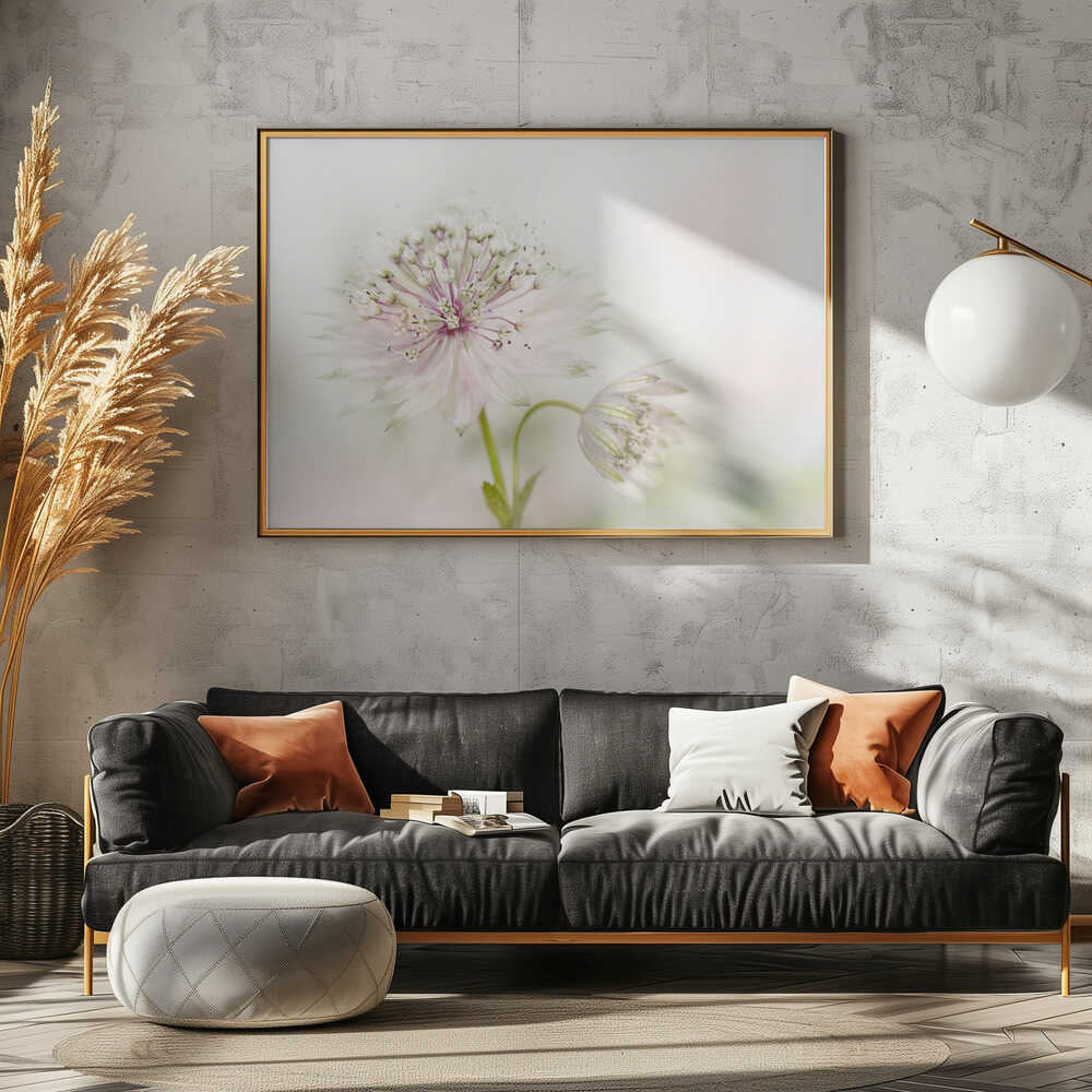 Airy Pink Bloom - Floral Photographic Stretched Canvas Poster or Fine Art Print