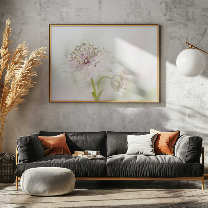 Airy Pink Bloom - Floral Photographic Stretched Canvas Poster or Fine Art Print