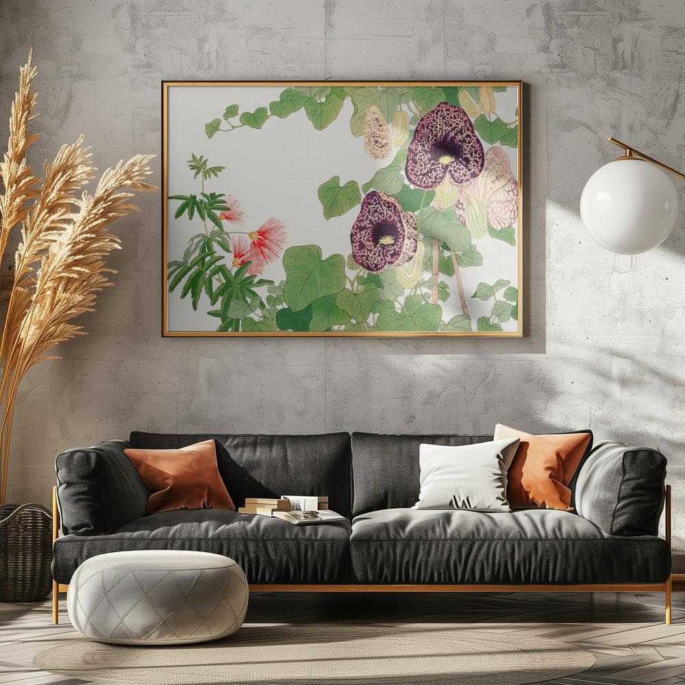 Albizia &amp; Aristolochia Flower No.2 - Stretched Canvas, Poster or Fine Art Print I Heart Wall Art