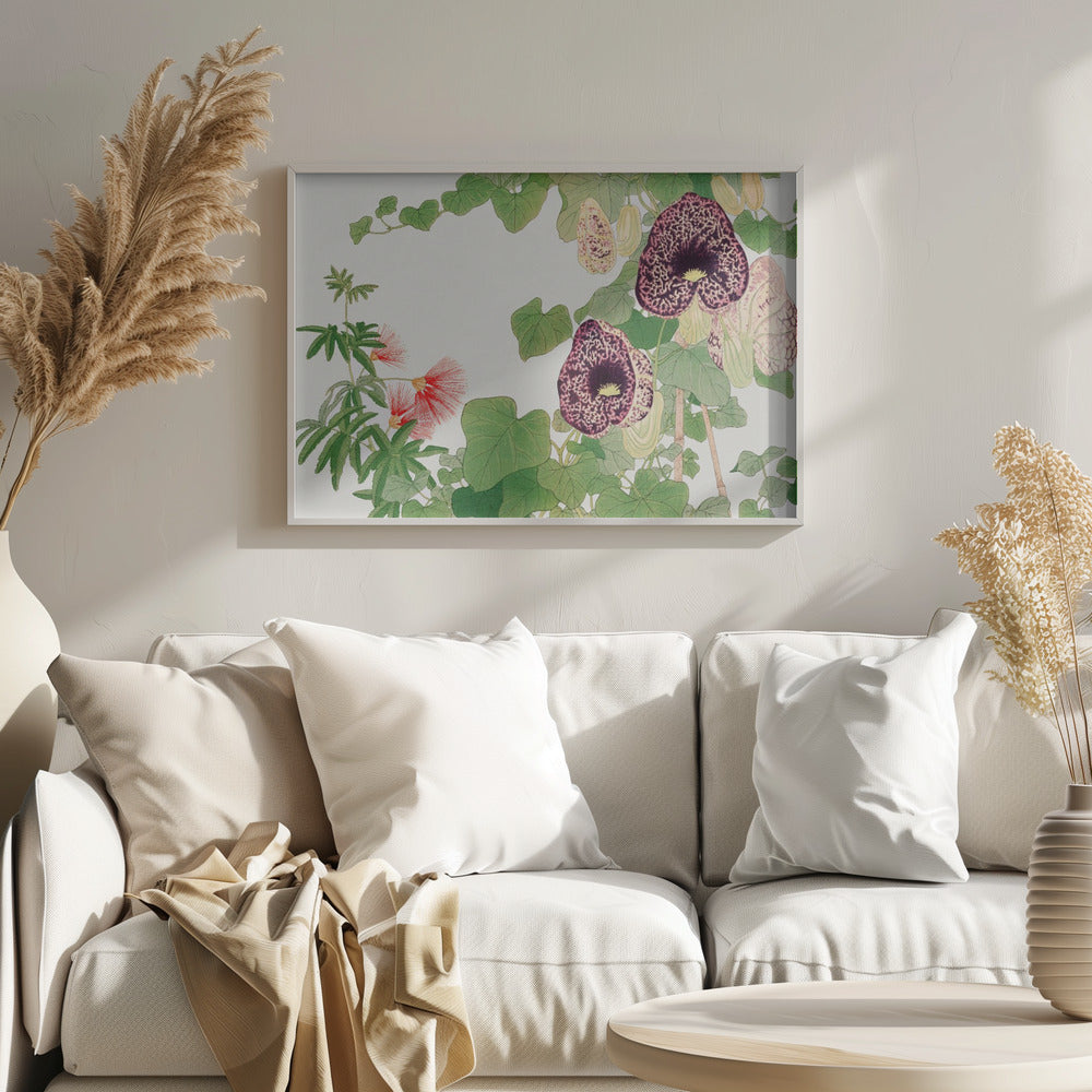 Albizia &amp; Aristolochia Flower No.2 - Stretched Canvas, Poster or Fine Art Print I Heart Wall Art
