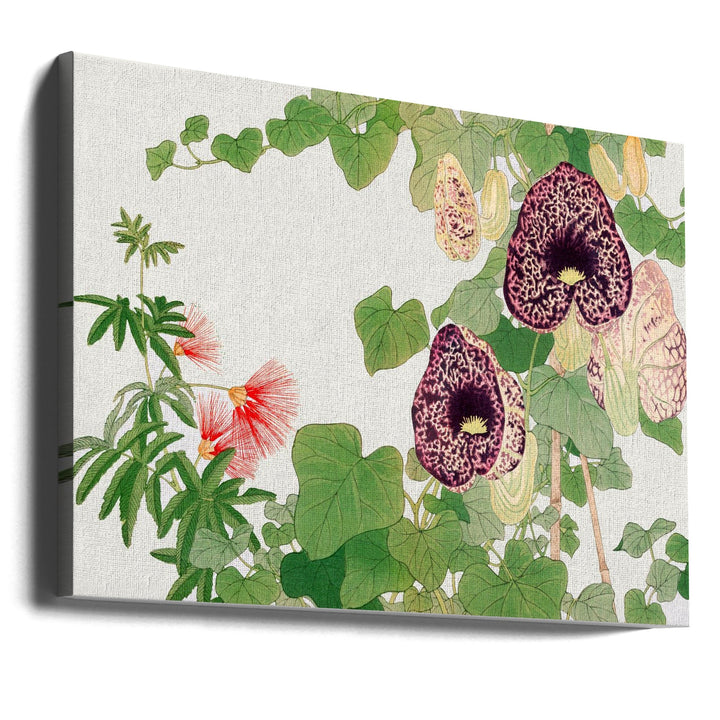 Albizia &amp; Aristolochia Flower No.2 - Stretched Canvas, Poster or Fine Art Print I Heart Wall Art