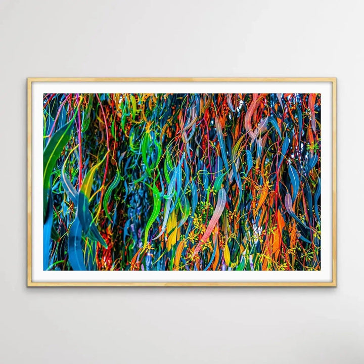 All The Colour - Colourful Eucalyptus Leaf Photographic Print - I Heart Wall Art - Poster Print, Canvas Print or Framed Art Print