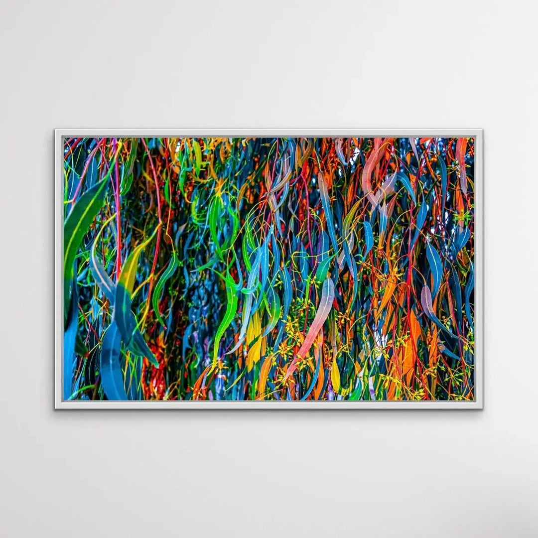 All The Colour - Colourful Eucalyptus Leaf Photographic Print - I Heart Wall Art - Poster Print, Canvas Print or Framed Art Print