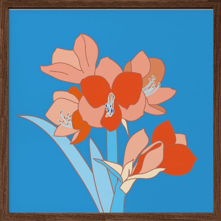 Amaryllis Flowers - Square Stretched Canvas, Poster or Fine Art Print - I Heart Wall Art - Poster Print, Canvas Print or Framed Art Print