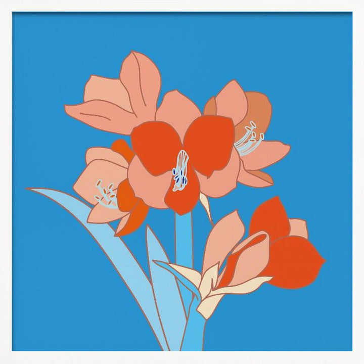 Amaryllis Flowers - Square Stretched Canvas, Poster or Fine Art Print - I Heart Wall Art - Poster Print, Canvas Print or Framed Art Print