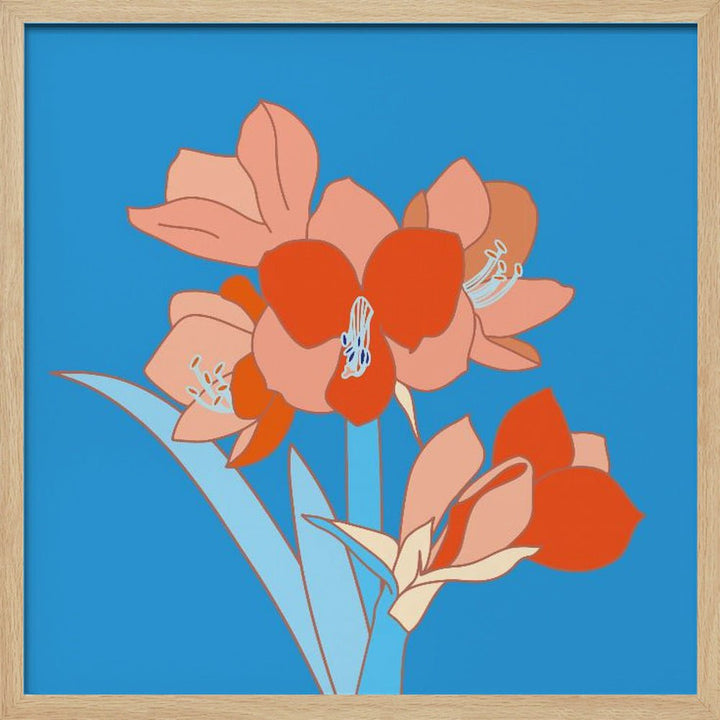 Amaryllis Flowers - Square Stretched Canvas, Poster or Fine Art Print - I Heart Wall Art - Poster Print, Canvas Print or Framed Art Print
