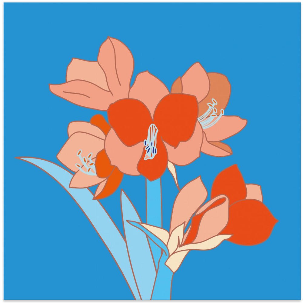Amaryllis Flowers - Square Stretched Canvas, Poster or Fine Art Print - I Heart Wall Art - Poster Print, Canvas Print or Framed Art Print