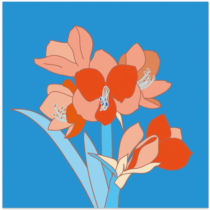 Amaryllis Flowers - Square Stretched Canvas, Poster or Fine Art Print - I Heart Wall Art - Poster Print, Canvas Print or Framed Art Print