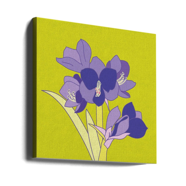 Amaryllis Light Green - Square Stretched Canvas, Poster or Fine Art Print - I Heart Wall Art - Poster Print, Canvas Print or Framed Art Print
