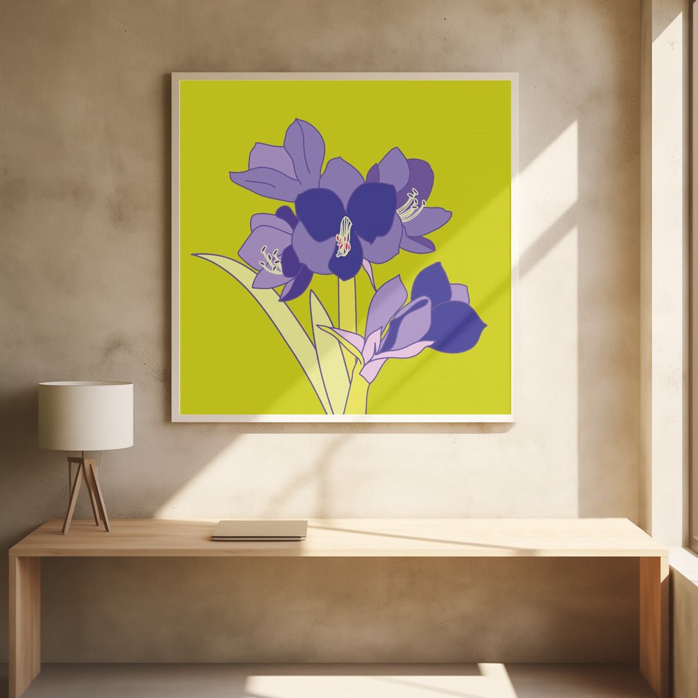 Amaryllis Light Green - Square Stretched Canvas, Poster or Fine Art Print - I Heart Wall Art - Poster Print, Canvas Print or Framed Art Print
