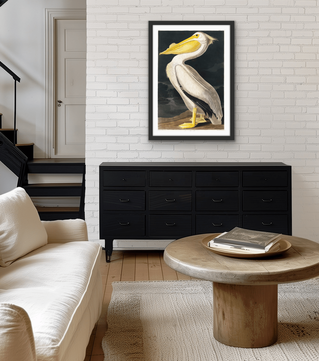 American White Pelican from Birds of America (1827) by John James Audubon - Stretched Canvas or Framed Fine Art Print - I Heart Wall Art - Poster Print, Canvas Print or Framed Art Print