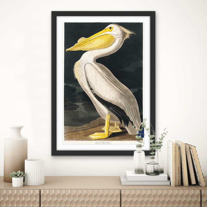 American White Pelican from Birds of America (1827) by John James Audubon - Stretched Canvas or Framed Fine Art Print - I Heart Wall Art - Poster Print, Canvas Print or Framed Art Print