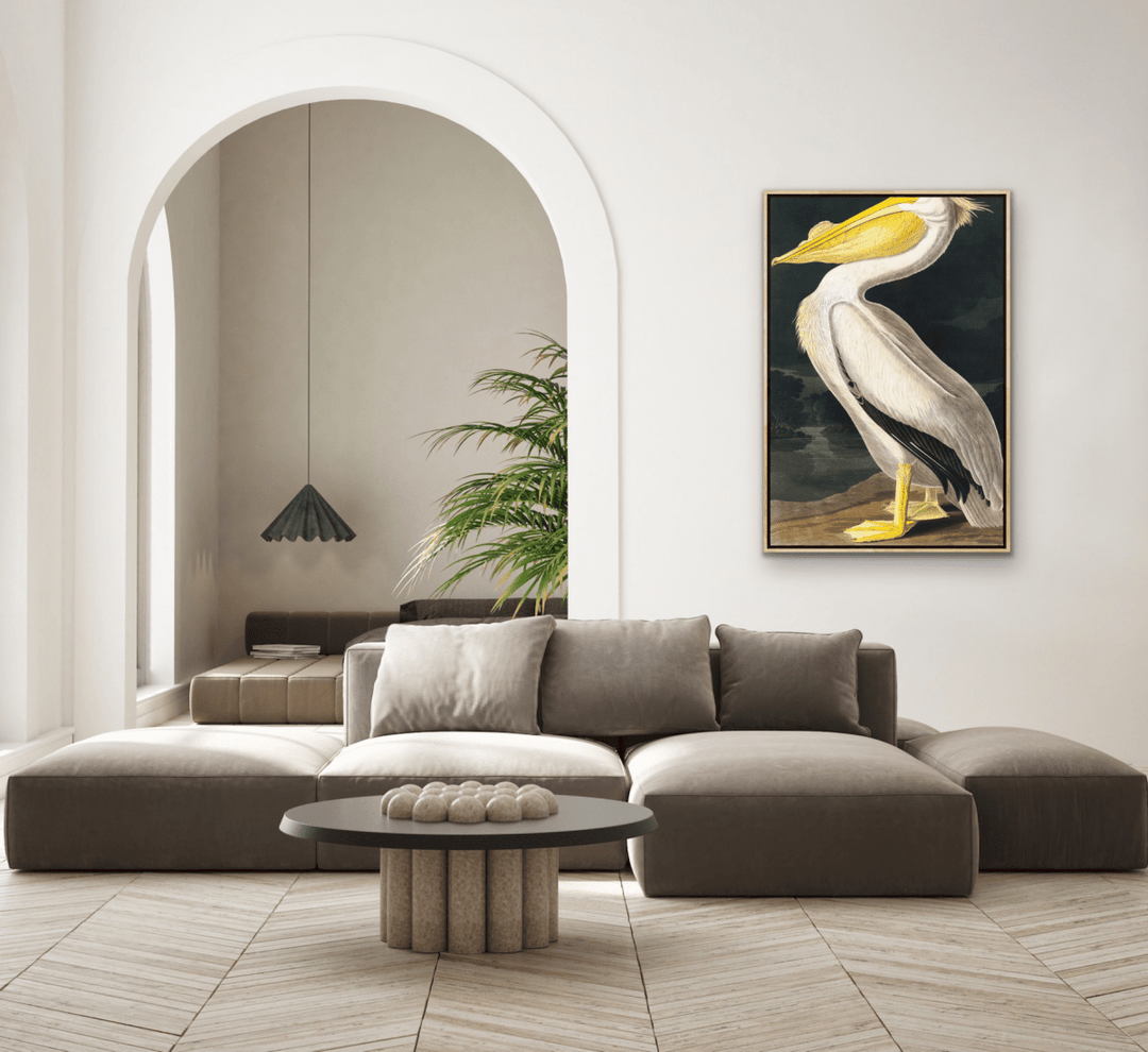 American White Pelican from Birds of America (1827) by John James Audubon - Stretched Canvas or Framed Fine Art Print - I Heart Wall Art - Poster Print, Canvas Print or Framed Art Print