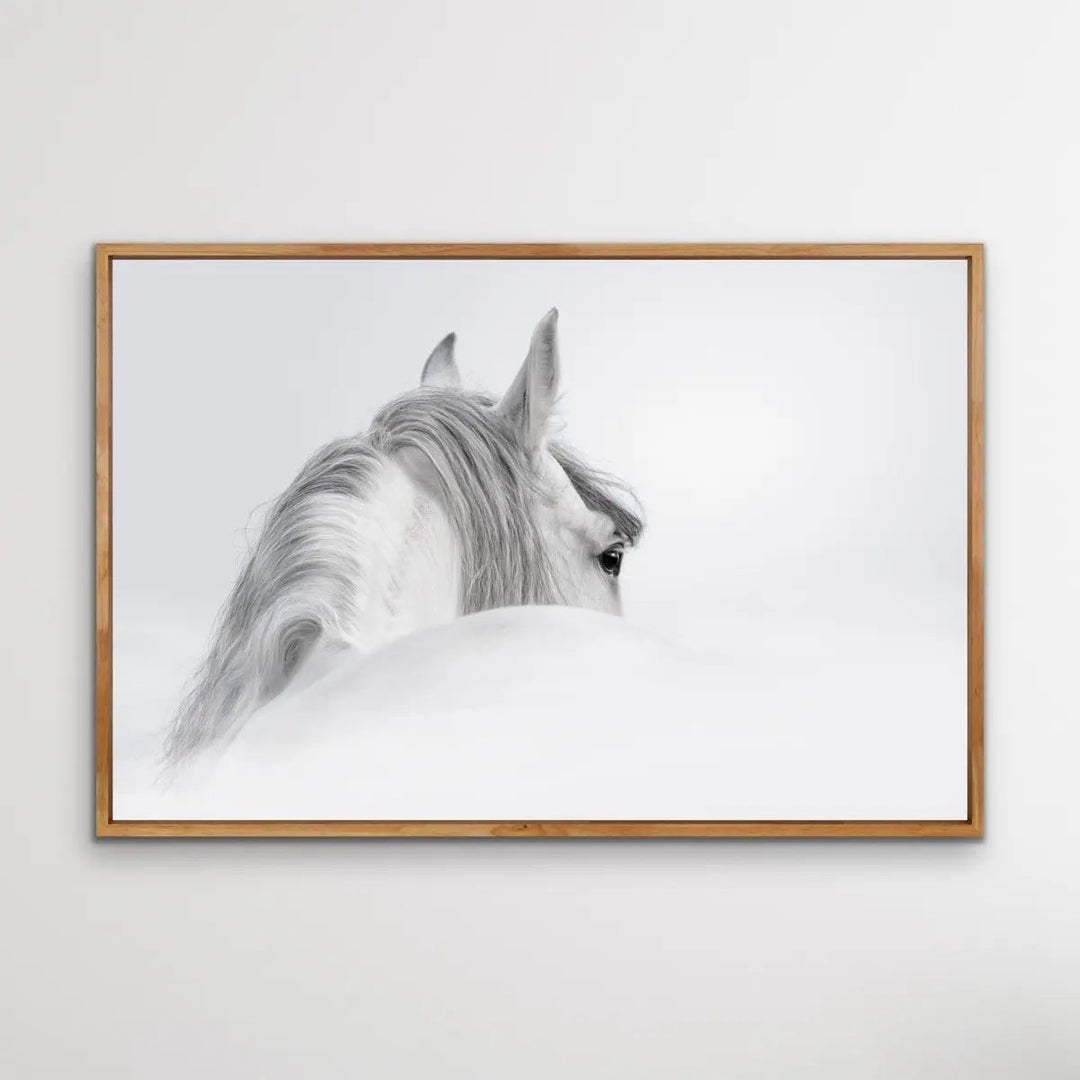 Andalusian Horse - Black and White Art Print or Canvas Print - I Heart Wall Art - Poster Print, Canvas Print or Framed Art Print