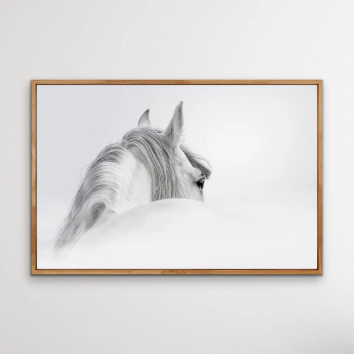 Andalusian Horse - Black and White Art Print or Canvas Print - I Heart Wall Art - Poster Print, Canvas Print or Framed Art Print