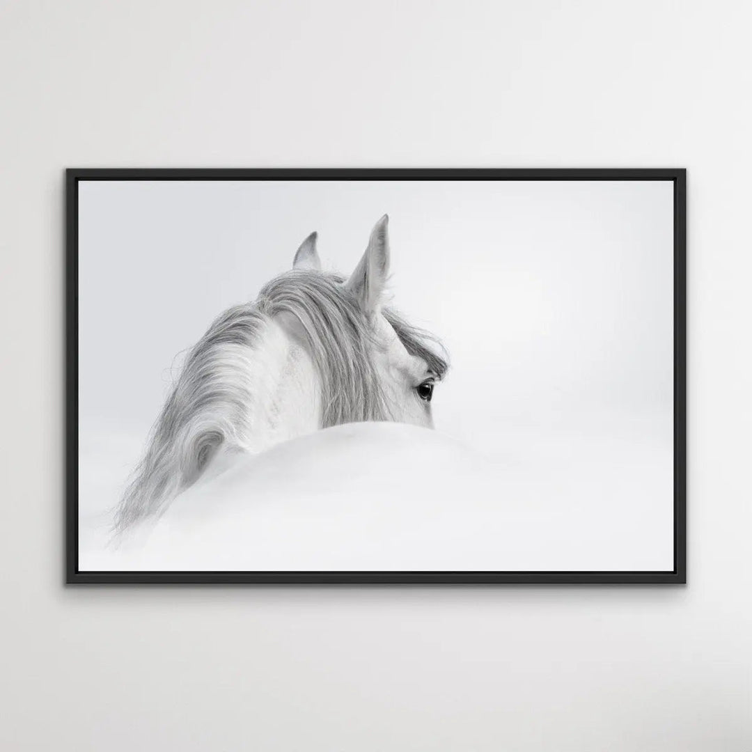 Andalusian Horse - Black and White Art Print or Canvas Print - I Heart Wall Art - Poster Print, Canvas Print or Framed Art Print