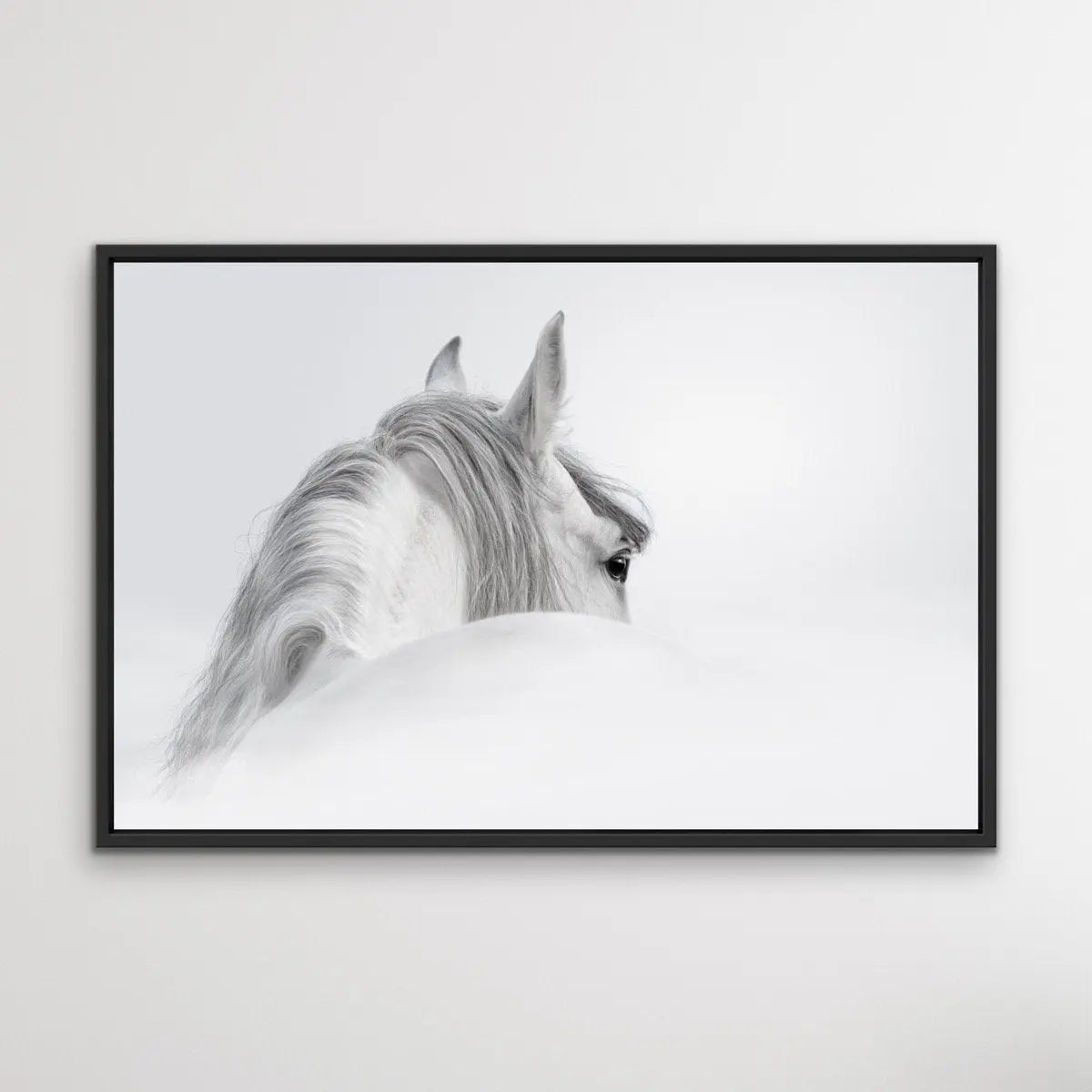 Andalusian Horse - Black and White Art Print or Canvas Print - I Heart Wall Art - Poster Print, Canvas Print or Framed Art Print