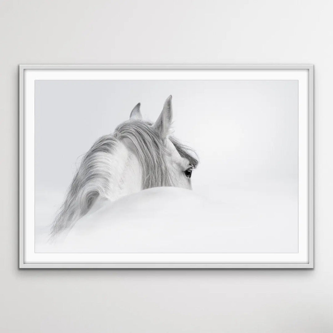 Andalusian Horse - Black and White Art Print or Canvas Print - I Heart Wall Art - Poster Print, Canvas Print or Framed Art Print
