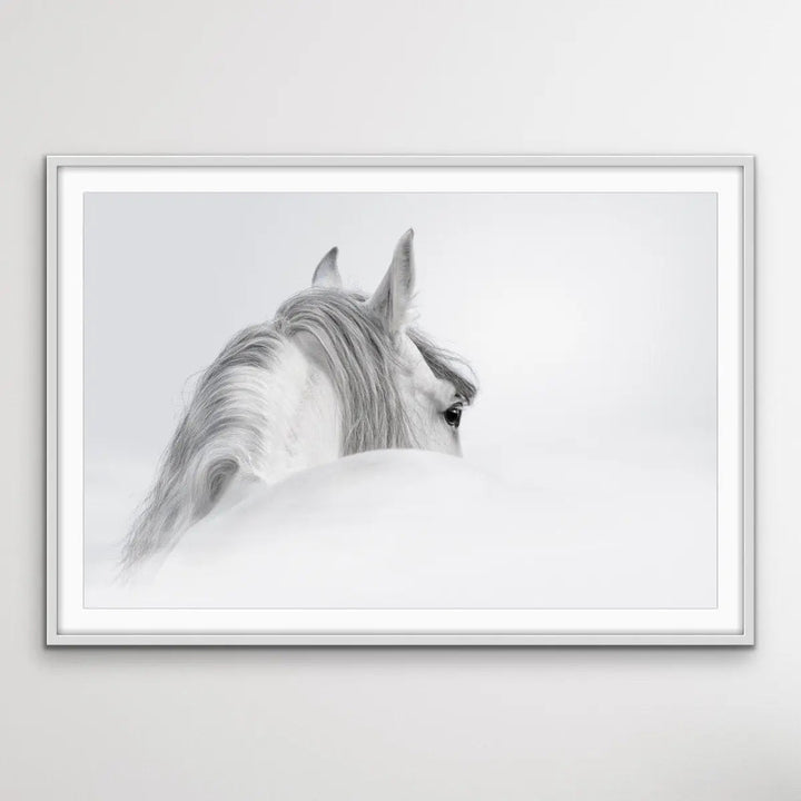 Andalusian Horse - Black and White Art Print or Canvas Print - I Heart Wall Art - Poster Print, Canvas Print or Framed Art Print