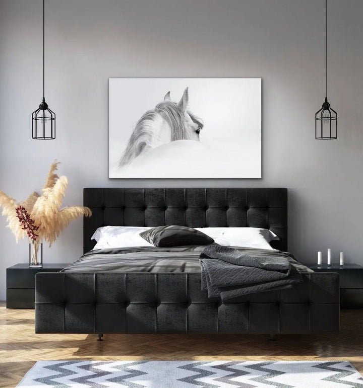 Andalusian Horse - Black and White Art Print or Canvas Print - I Heart Wall Art - Poster Print, Canvas Print or Framed Art Print