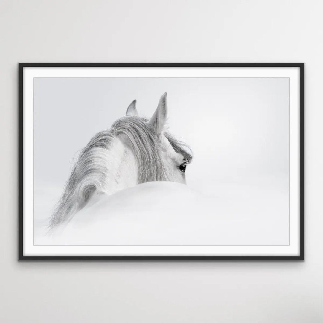Andalusian Horse - Black and White Art Print or Canvas Print - I Heart Wall Art - Poster Print, Canvas Print or Framed Art Print