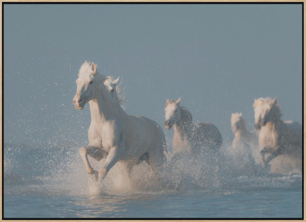 Angels of Camargue - Stretched Canvas, Poster or Fine Art Print I Heart Wall Art