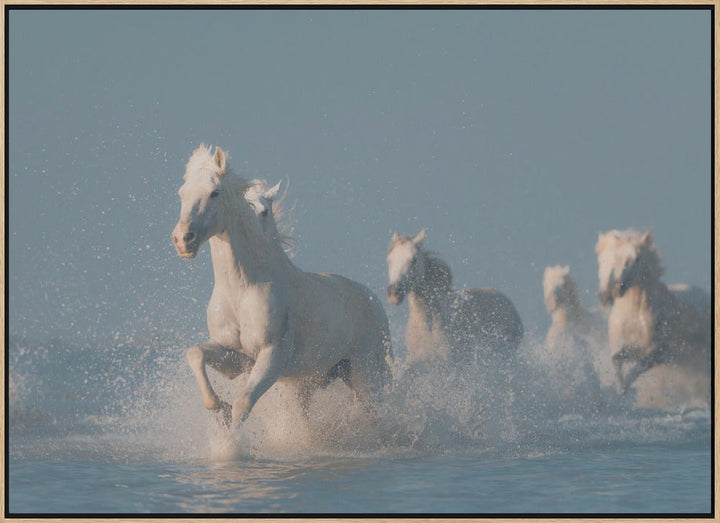 Angels of Camargue - Stretched Canvas, Poster or Fine Art Print I Heart Wall Art