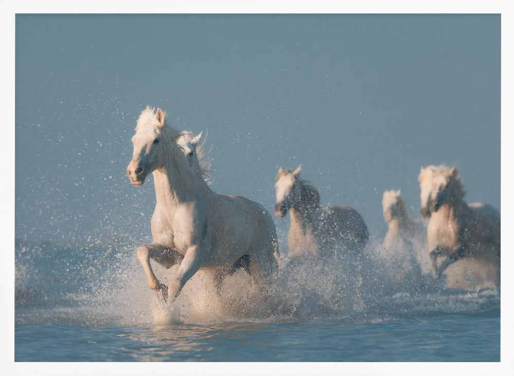 Angels of Camargue - Stretched Canvas, Poster or Fine Art Print I Heart Wall Art
