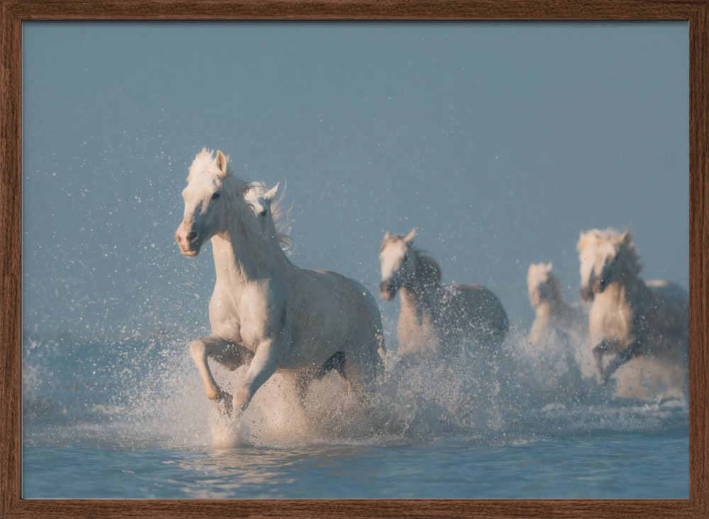 Angels of Camargue - Stretched Canvas, Poster or Fine Art Print I Heart Wall Art