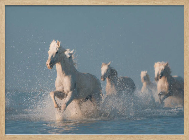 Angels of Camargue - Stretched Canvas, Poster or Fine Art Print I Heart Wall Art
