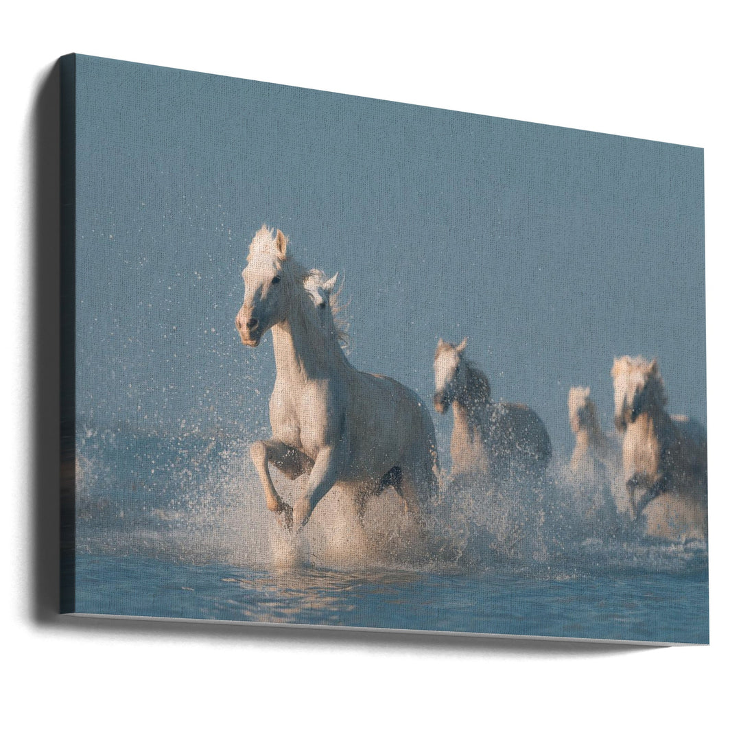 Angels of Camargue - Stretched Canvas, Poster or Fine Art Print I Heart Wall Art