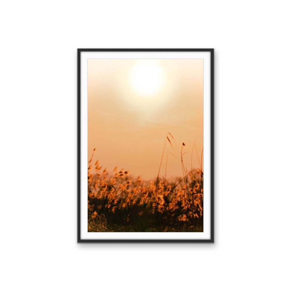Another Day - Orange Sunset in a Field, Stretched Canvas or Wall Art Print - I Heart Wall Art - Poster Print, Canvas Print or Framed Art Print