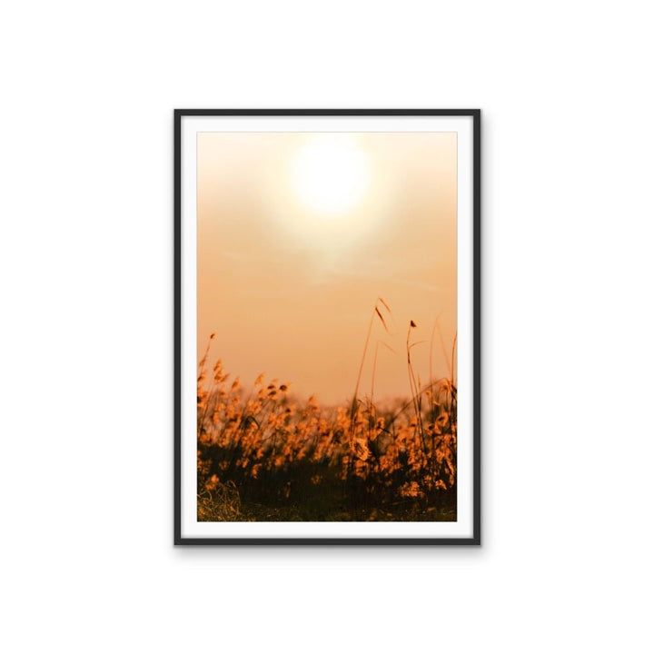 Another Day - Orange Sunset in a Field, Stretched Canvas or Wall Art Print - I Heart Wall Art - Poster Print, Canvas Print or Framed Art Print