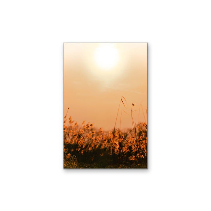 Another Day - Orange Sunset in a Field, Stretched Canvas or Wall Art Print - I Heart Wall Art - Poster Print, Canvas Print or Framed Art Print