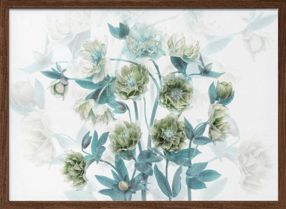 Aqua Green Blooms - Floral Photographic Stretched Canvas Poster or Fine Art Print