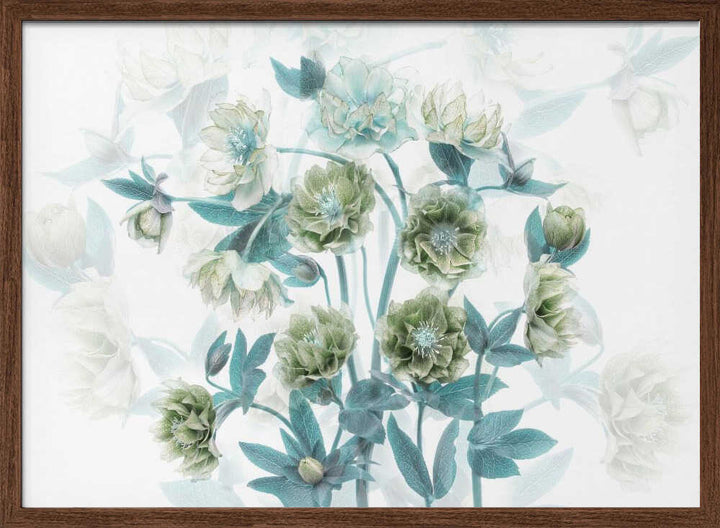 Aqua Green Blooms - Floral Photographic Stretched Canvas Poster or Fine Art Print