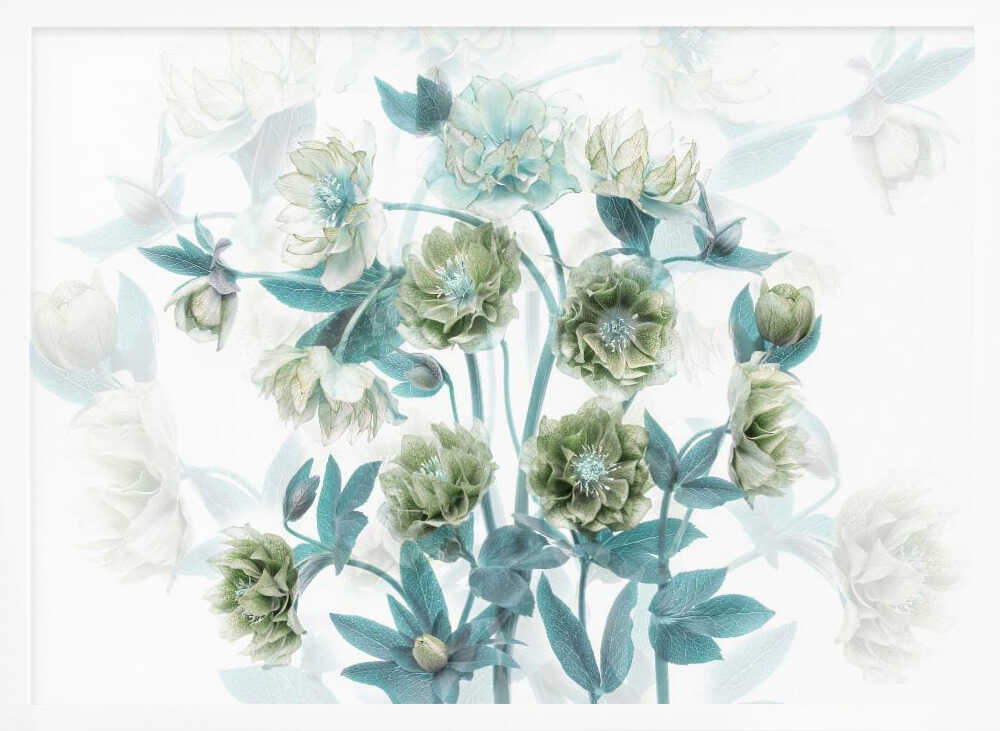 Aqua Green Blooms - Floral Photographic Stretched Canvas Poster or Fine Art Print